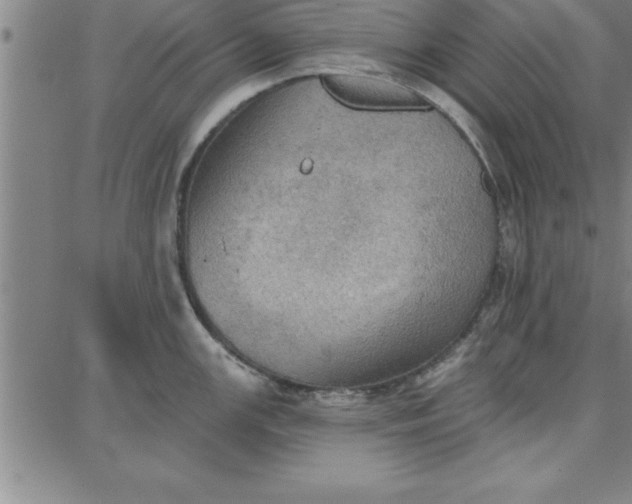 X0000087741147200705211006