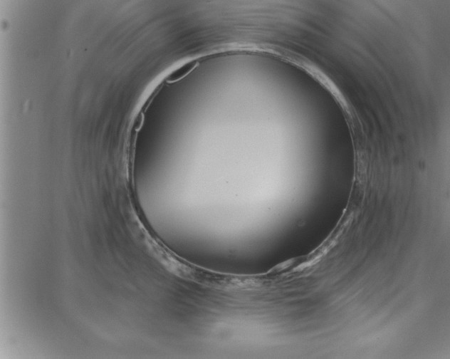 X0000087741148200705211006