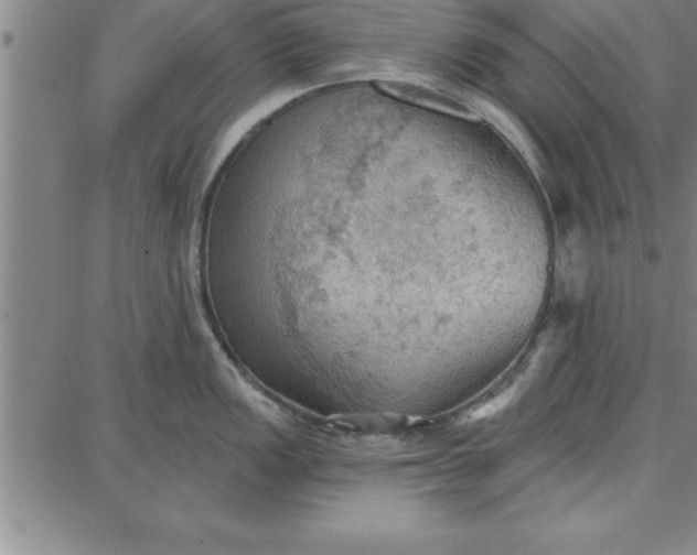 X0000087741149200705211006