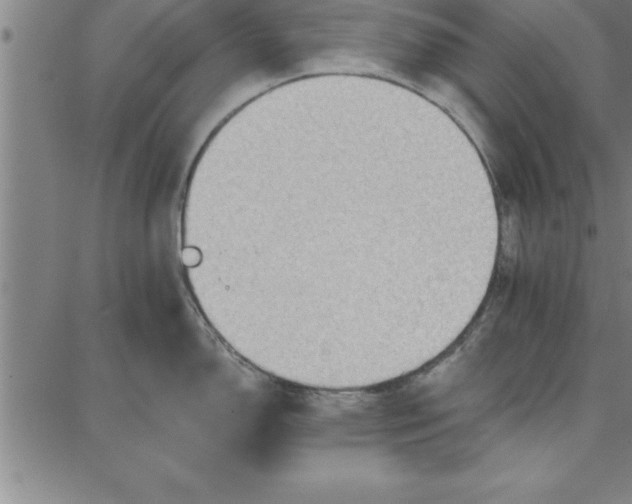 X0000087741150200705211006