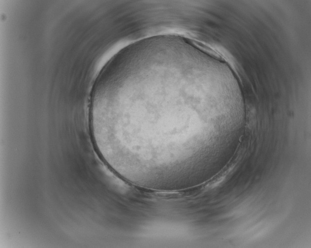 X0000087741151200705211006