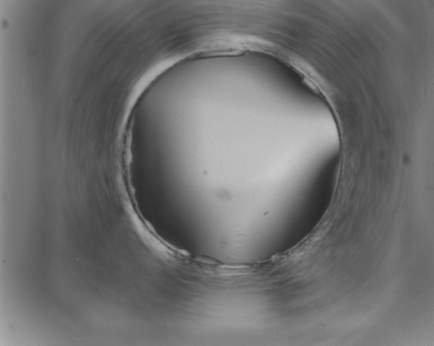 X0000087741152200705211006