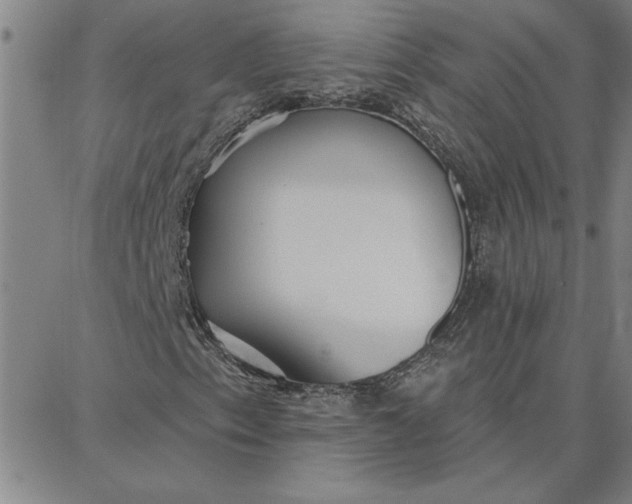 X0000087741153200705211005