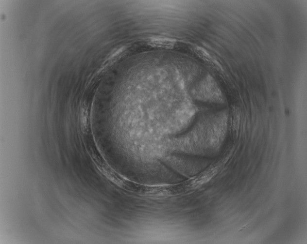 X0000087741154200705211005