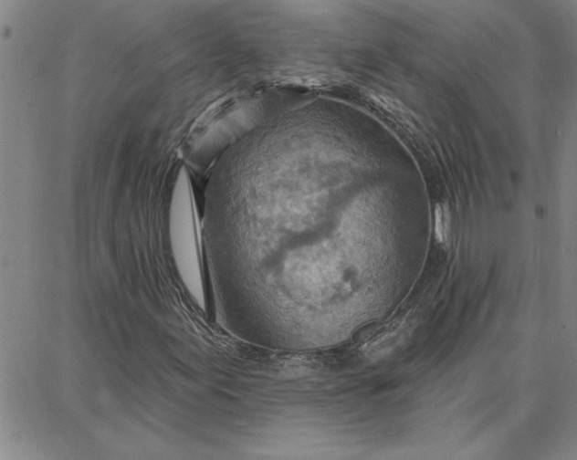 X0000087741155200705211005