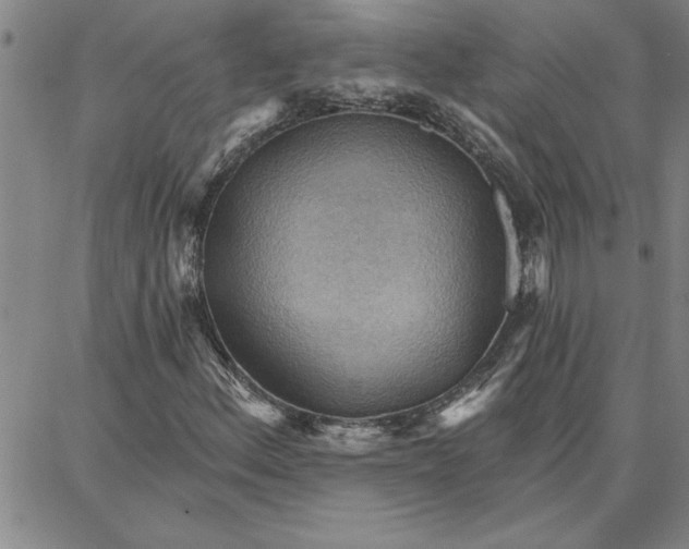 X0000087741156200705211005