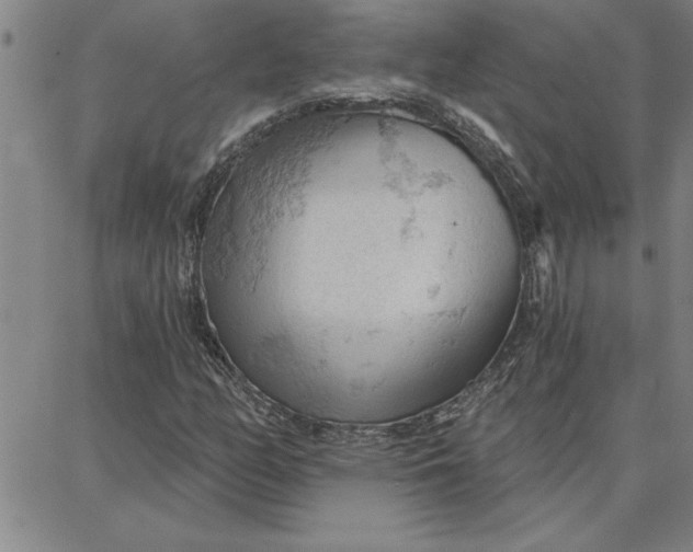 X0000087741158200705211005