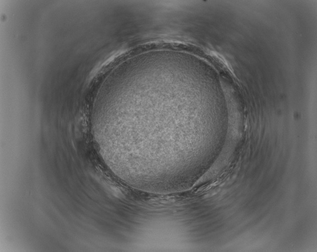 X0000087741159200705211005