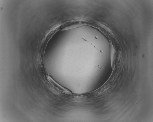 X0000087741160200705211005