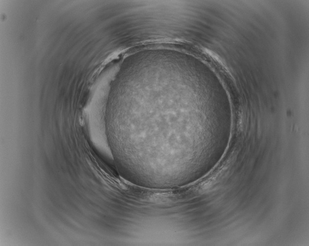 X0000087741161200705211005