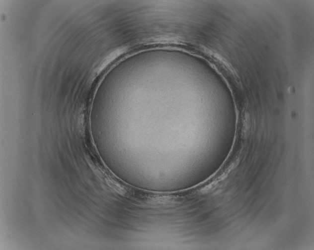 X0000087741162200705211005