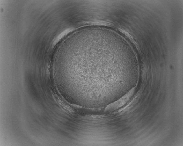 X0000087741163200705211005