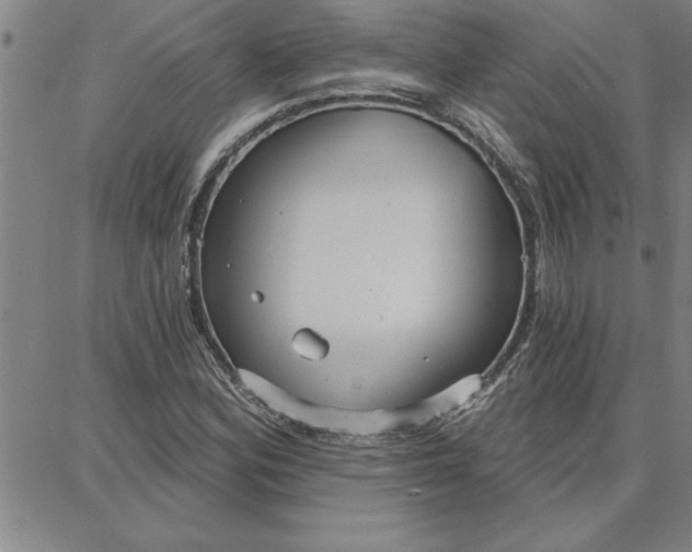 X0000087741164200705211005