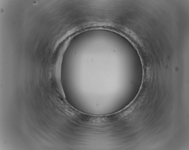 X0000087741165200705211005