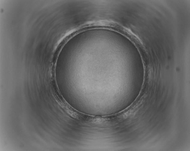 X0000087741166200705211005