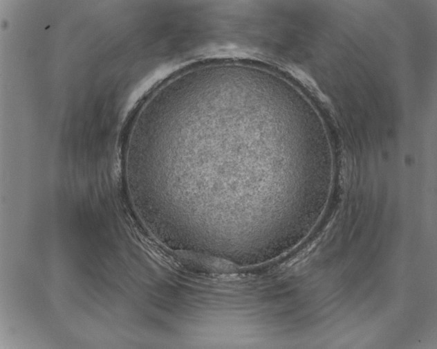 X0000087741167200705211005