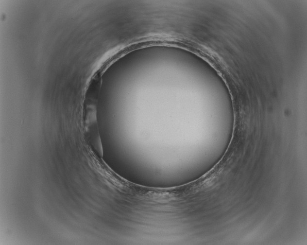 X0000087741168200705211005