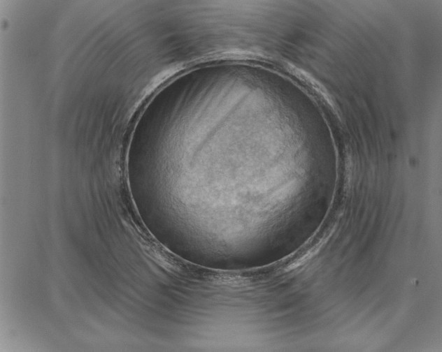 X0000087741170200705211005