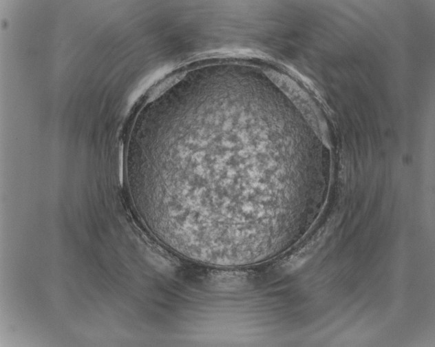 X0000087741171200705211005