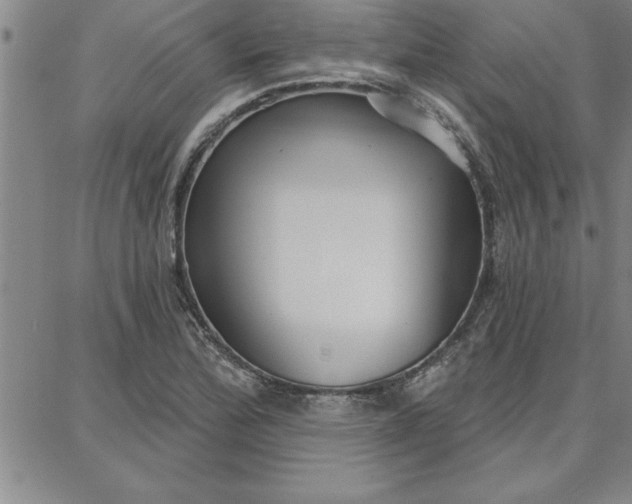 X0000087741172200705211005