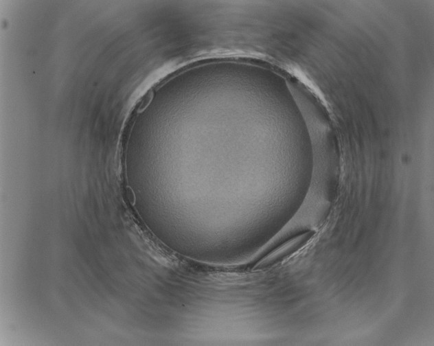 X0000087741173200705211005