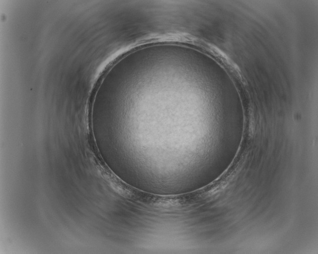 X0000087741174200705211005