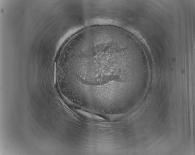 X0000087741175200705211005