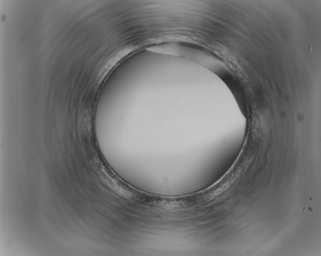 X0000087741177200705211005