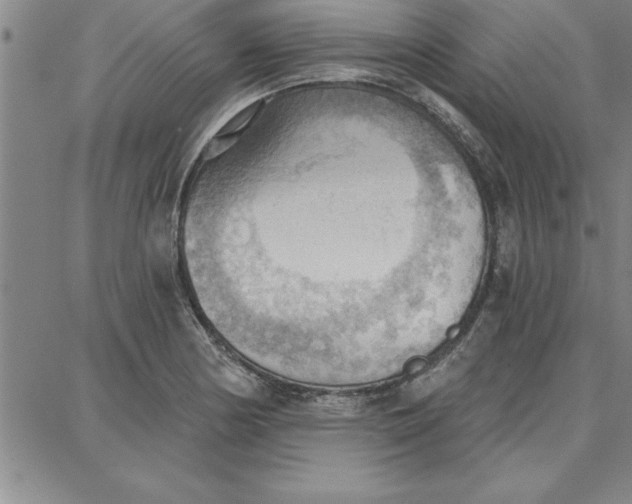 X0000087741178200705211005