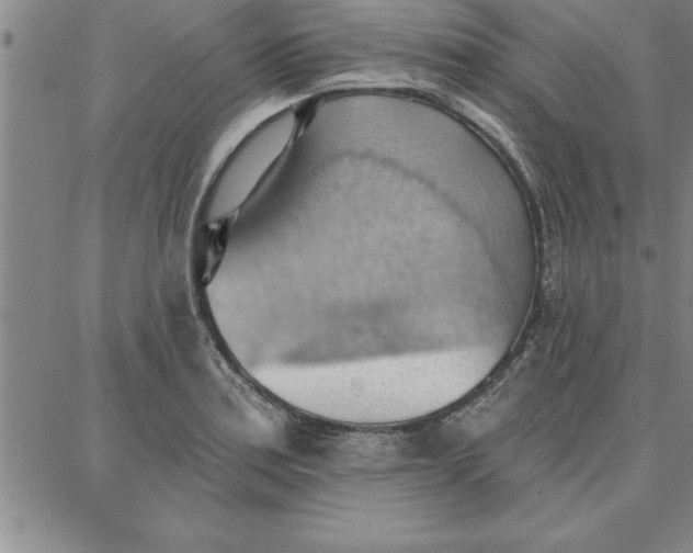 X0000087741179200705211005