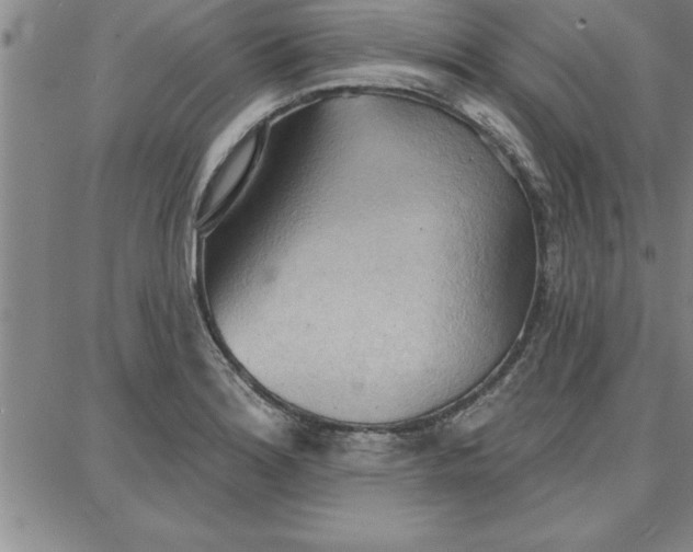 X0000087741180200705211005