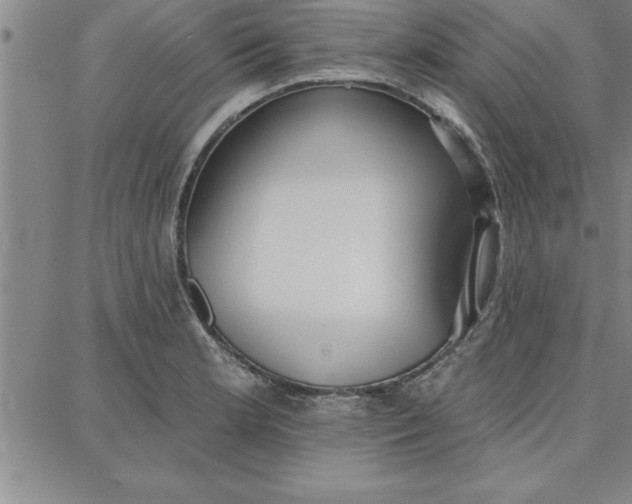 X0000087741181200705211005