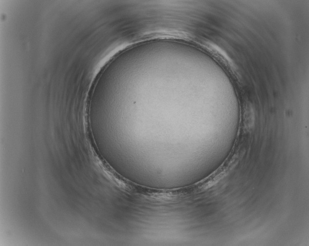 X0000087741182200705211005