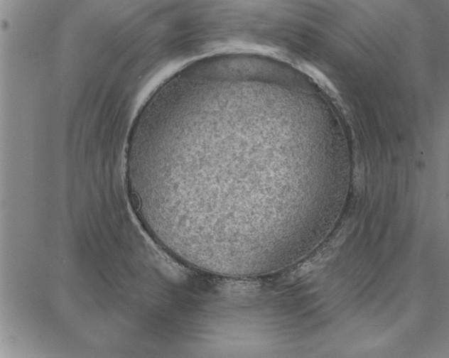 X0000087741183200705211005