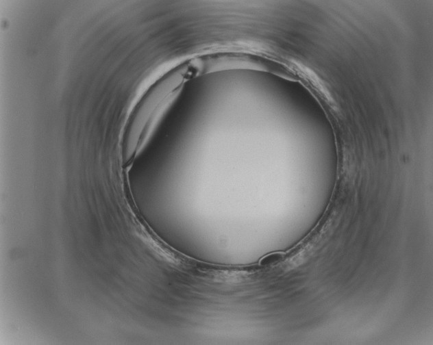 X0000087741184200705211005