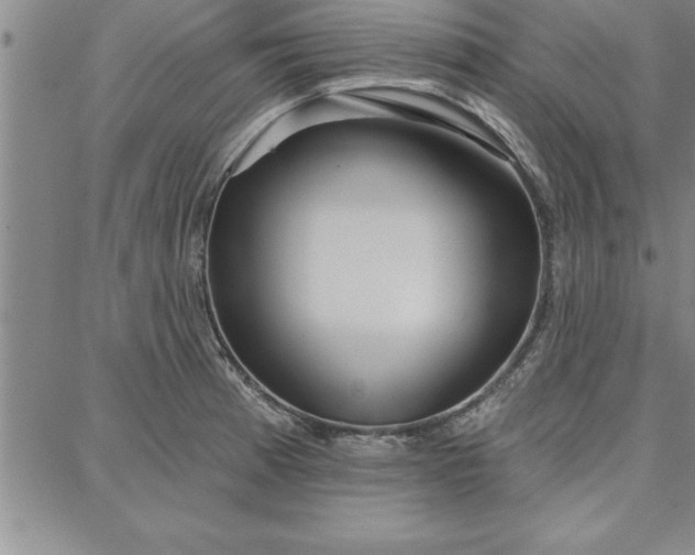 X0000087741185200705211005