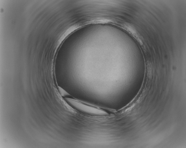 X0000087741186200705211005