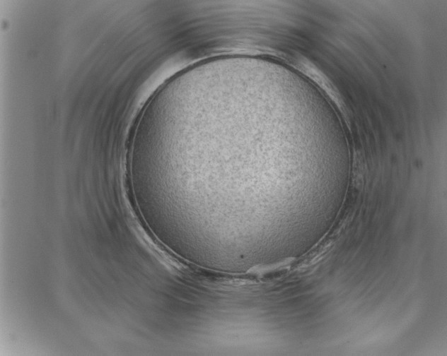 X0000087741187200705211005