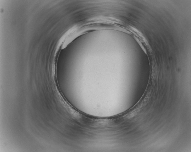 X0000087741188200705211005