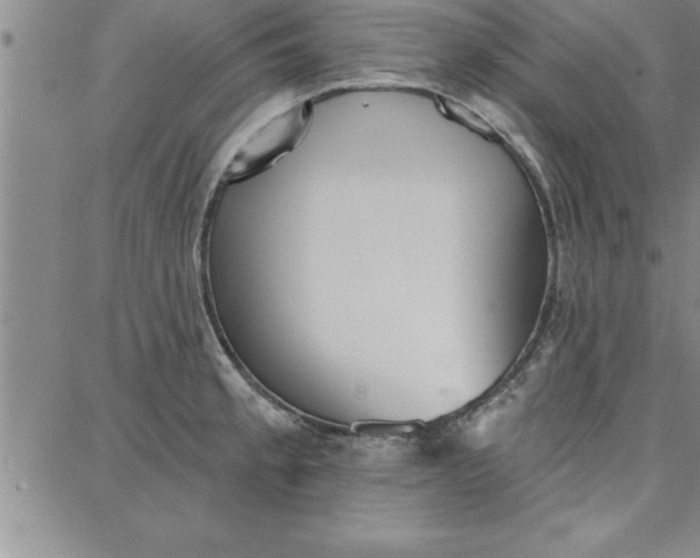 X0000087741189200705211005