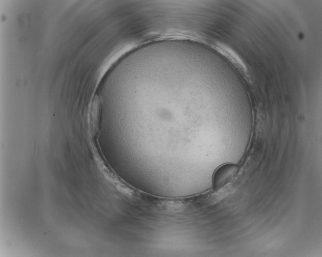 X0000087741190200705211005