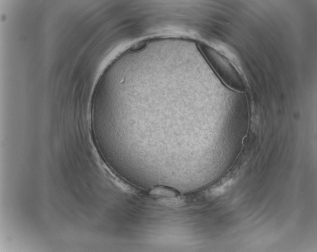 X0000087741191200705211005