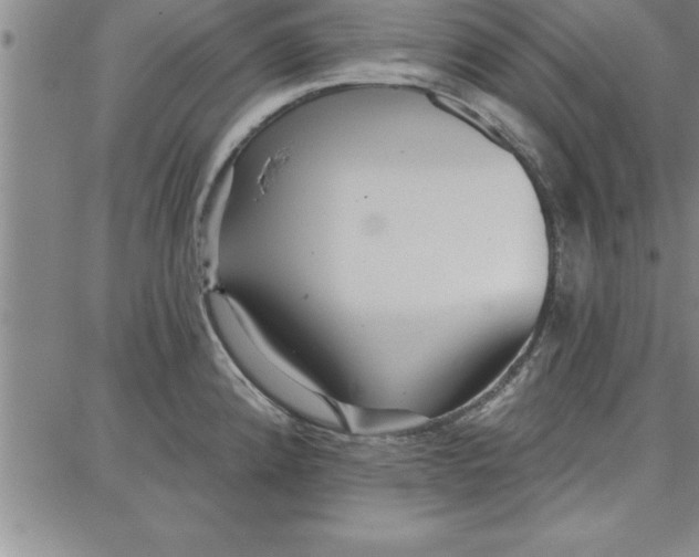 X0000087741192200705211004