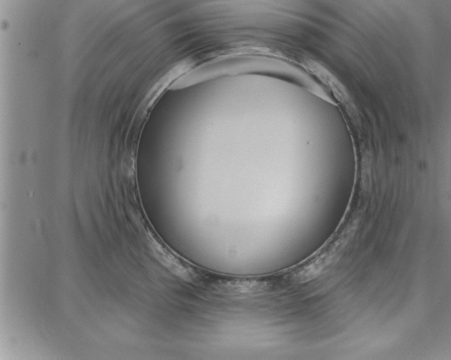 X0000087741193200705211004