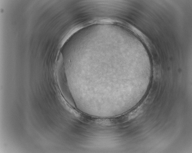 X0000087741194200705211004