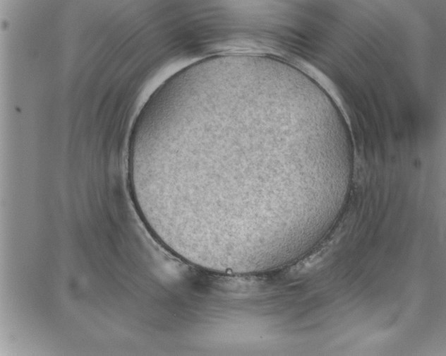 X0000087741195200705211004