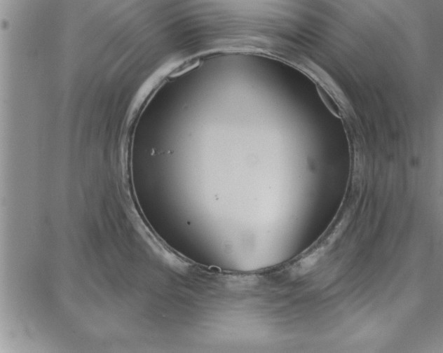 X0000087741196200705211004