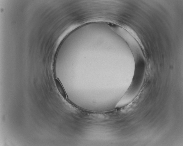 X0000087741197200705211004