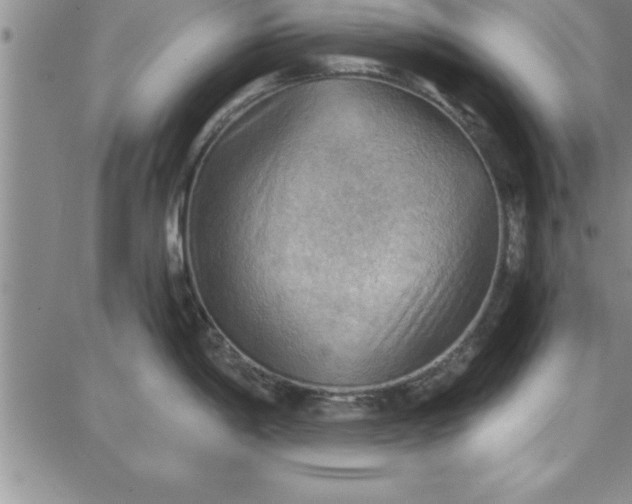 X0000087741198200705211004