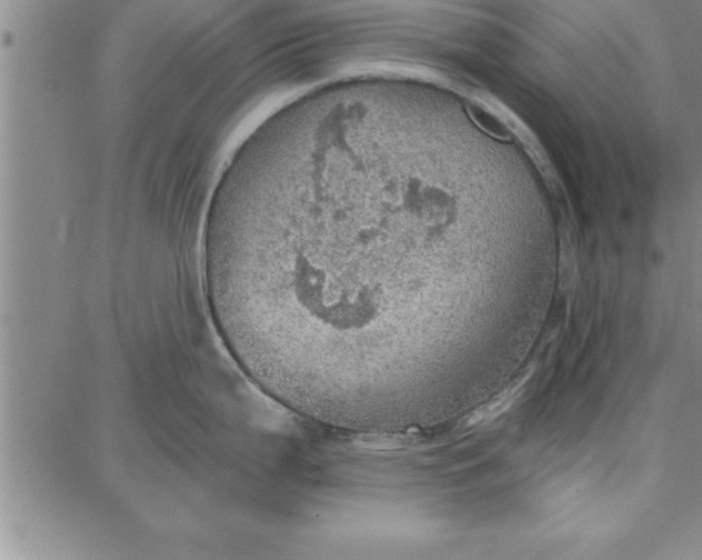 X0000087741199200705211004